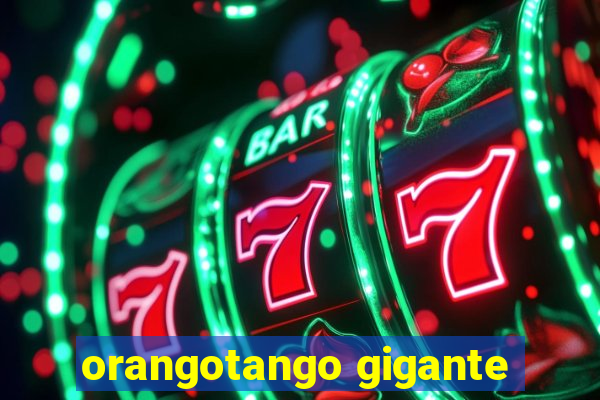 orangotango gigante